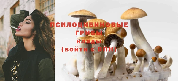 хмурый Нефтегорск