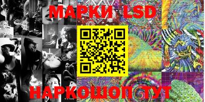 гидропоника Будённовск