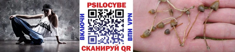 Галлюциногенные грибы Magic Shrooms  наркотики  блэк спрут tor  Кимовск 