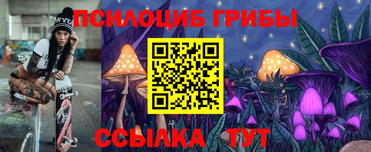 A PVP Кимовск
