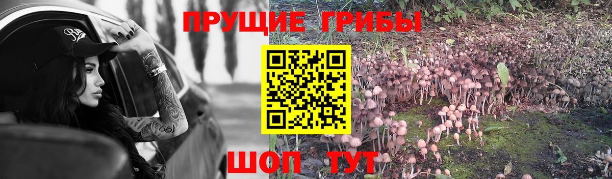 Галлюциногенные грибы ЛСД  Вход с VPN  продажа наркотиков  Кимовск 