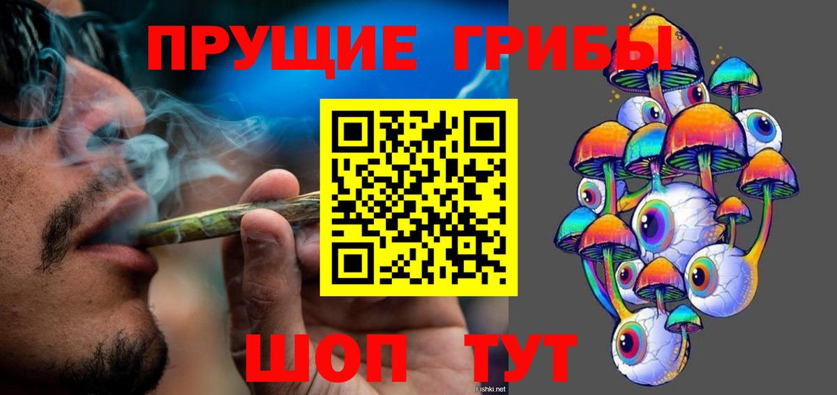 Псилоцибиновые грибы мицелий Кимовск