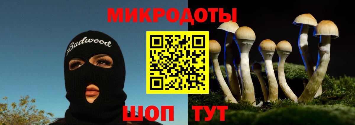 Псилоцибиновые грибы Psilocybine cubensis  где купить наркоту  Галлюциногенные грибы ЛСД  Кимовск 